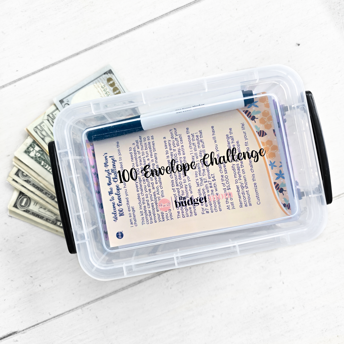 100 Envelope Savings Challenge Kit – The Budget Mom 100 Envelope Savings Challenge Kit – The Budget Mom