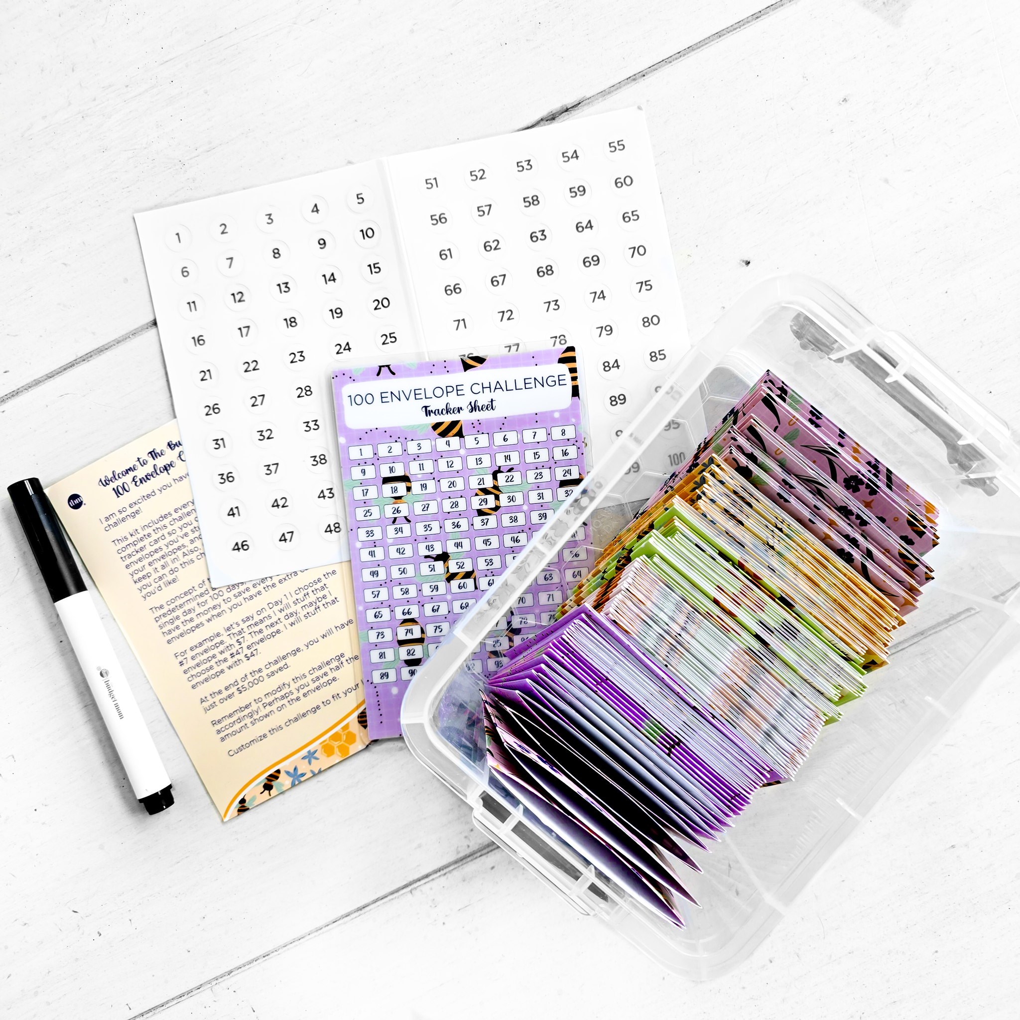 Sfida Risparmio 100 Buste - Cartella Budget Con Buste Trasparenti E Etichette - Foto 8