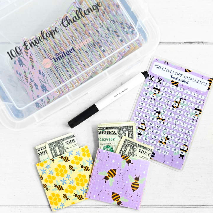 100 Envelope Savings Challenge Kit